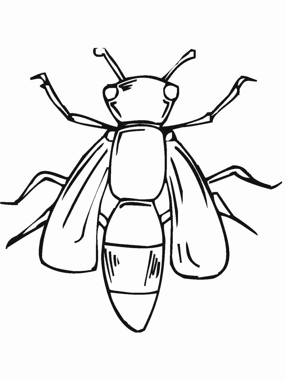 950x1266 Firefly Coloring Page