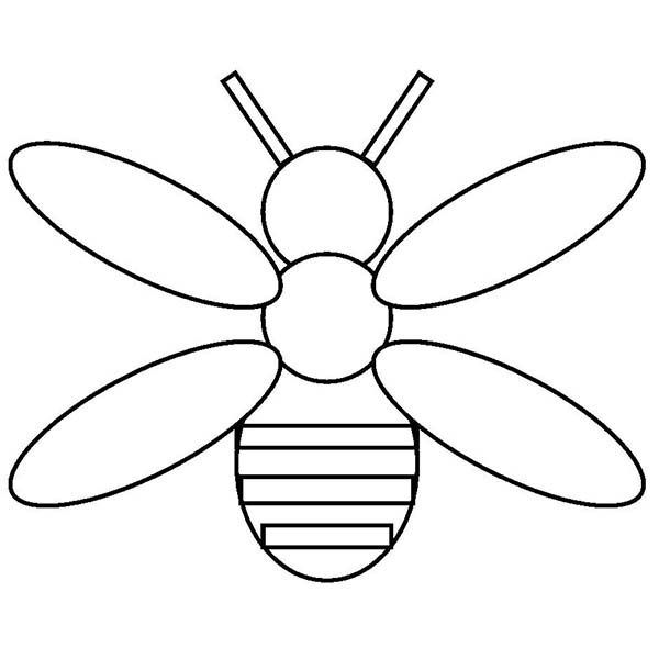 600x600 Download Coloring Pages Firefly Coloring Page Fresh At Minimalist