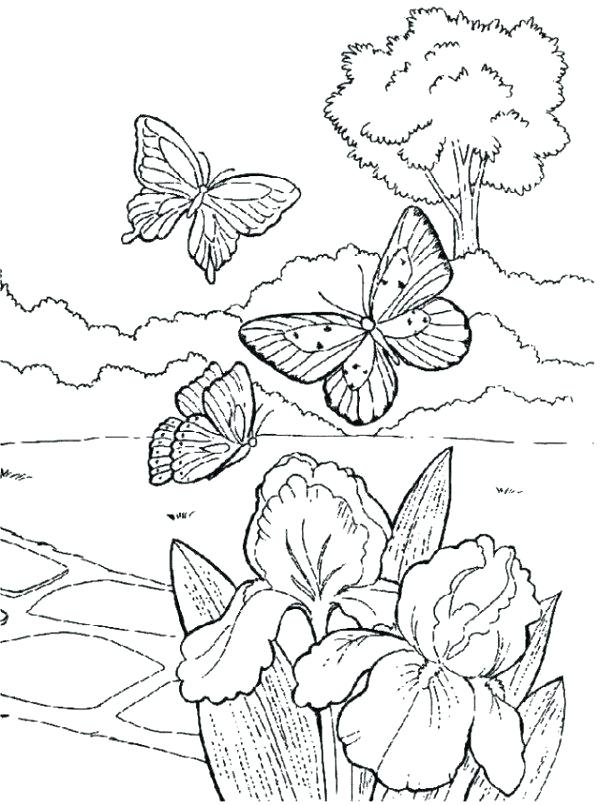 600x805 Springtime Coloring Pages Spring Coloring Pictures Spring Coloring