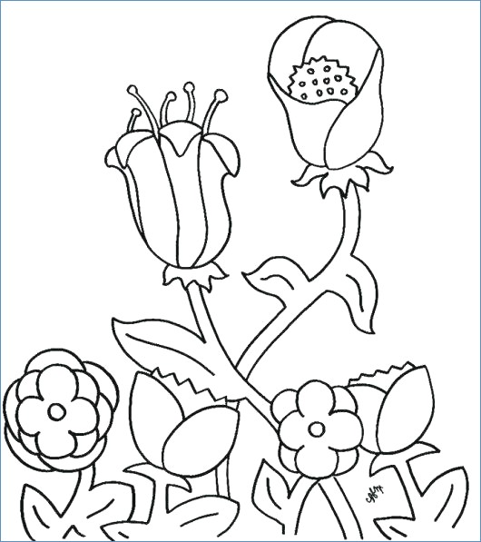 530x597 Sunflower First Day Of Spring Coloring Pages