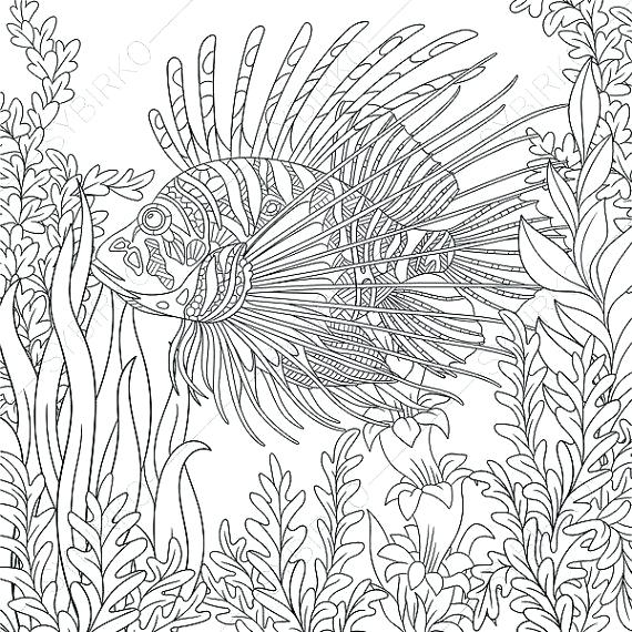 570x570 Fish Coloring Pages For Adults Devil Page Adult