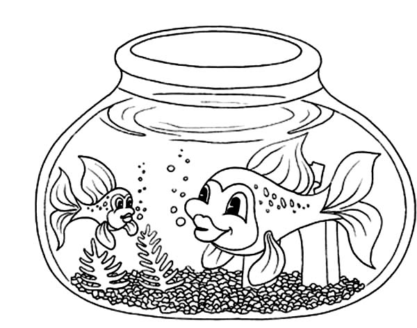 600x473 Fish With Long Tail In Fish Bowl Coloring Page