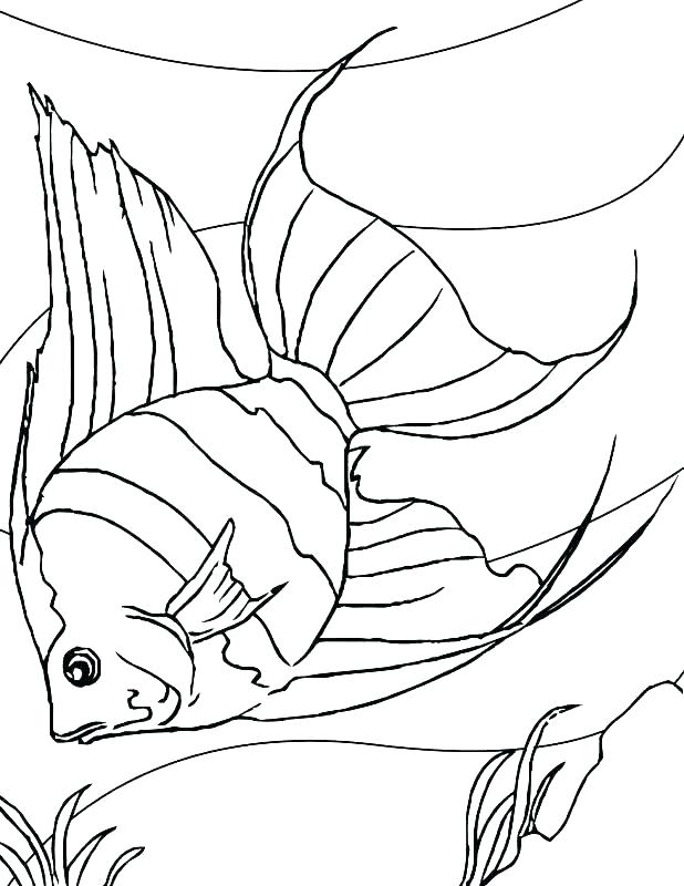618x800 Fish Bowl Coloring Pages