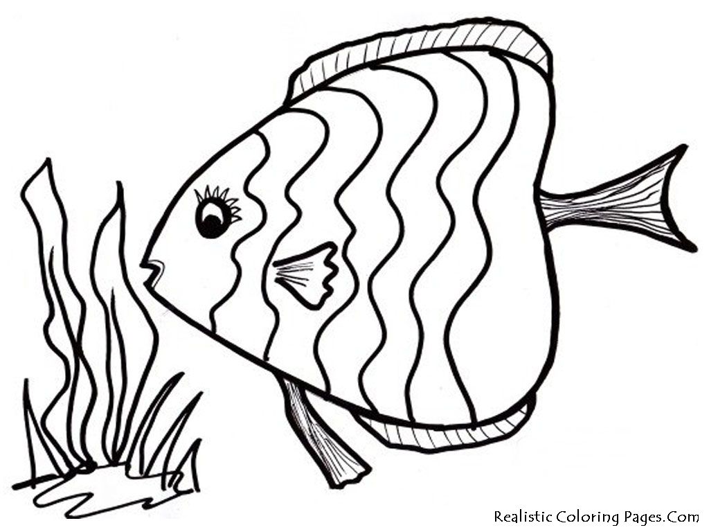 1024x768 Fine Cartoon Fish Coloring Page Sheet Pages
