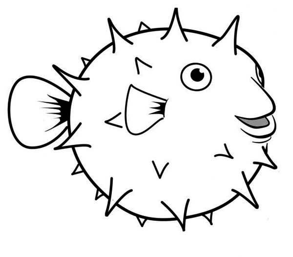 600x525 Puffer Fish, Happy Globefish Puffer Fish Coloring Page