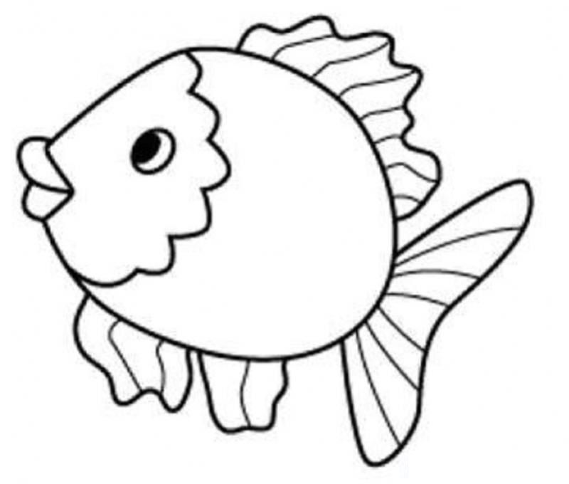 800x680 Fish Coloring Pages For Kids
