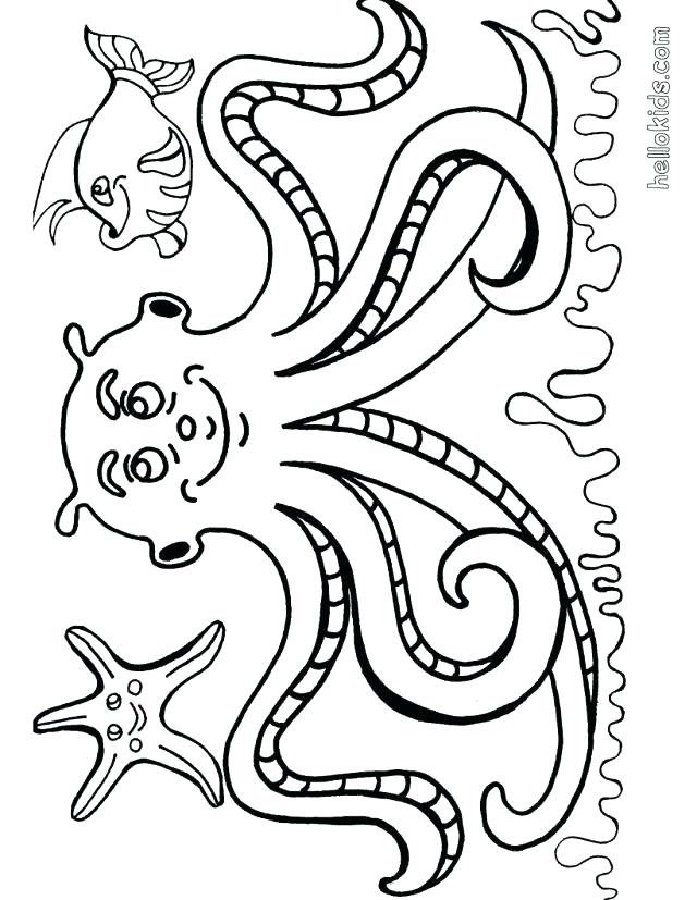 640x827 Fish Tank Coloring Page Printable Pages For Kids Colouring Clip