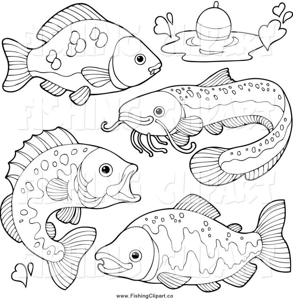 1004x1024 Freshwater Fish Coloring Pages Free Coloring For Kids