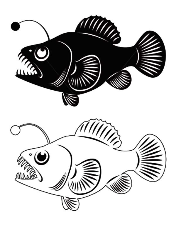 600x792 Angler Fish Clip Art Coloring Pages Best Place To Color