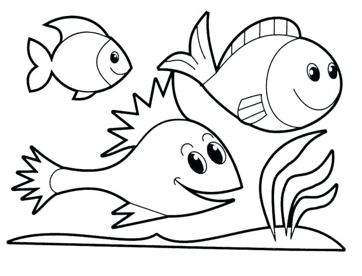 728x555 Ocean Fish Coloring Pages Fish Template To Color Rainbow Fish Fish