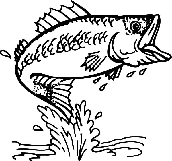 600x561 Stunning Ideas Bass Fish Coloring Pages