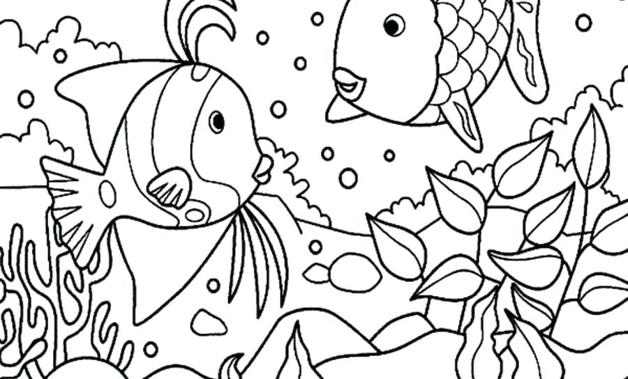 900x544 Coloring Page Of Fish Coloring Page Of Fish Fish Color Pages Fish