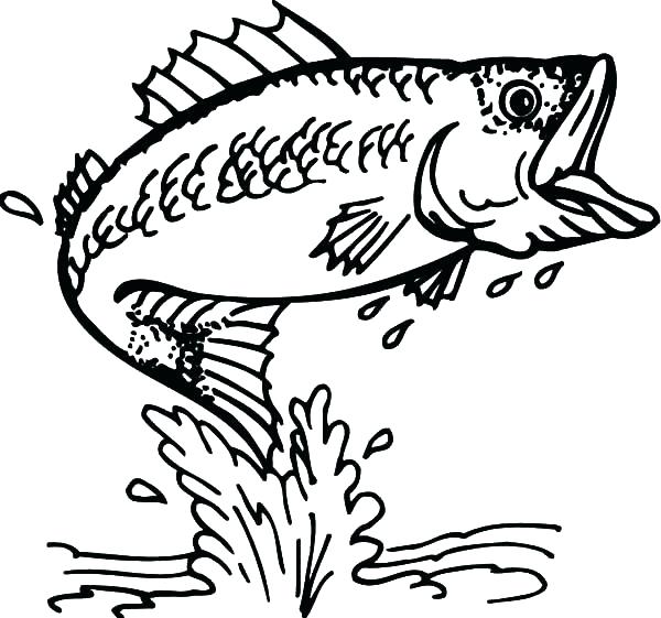 600x561 Fish Coloring Page Elegant Fish Coloring Page About Remodel