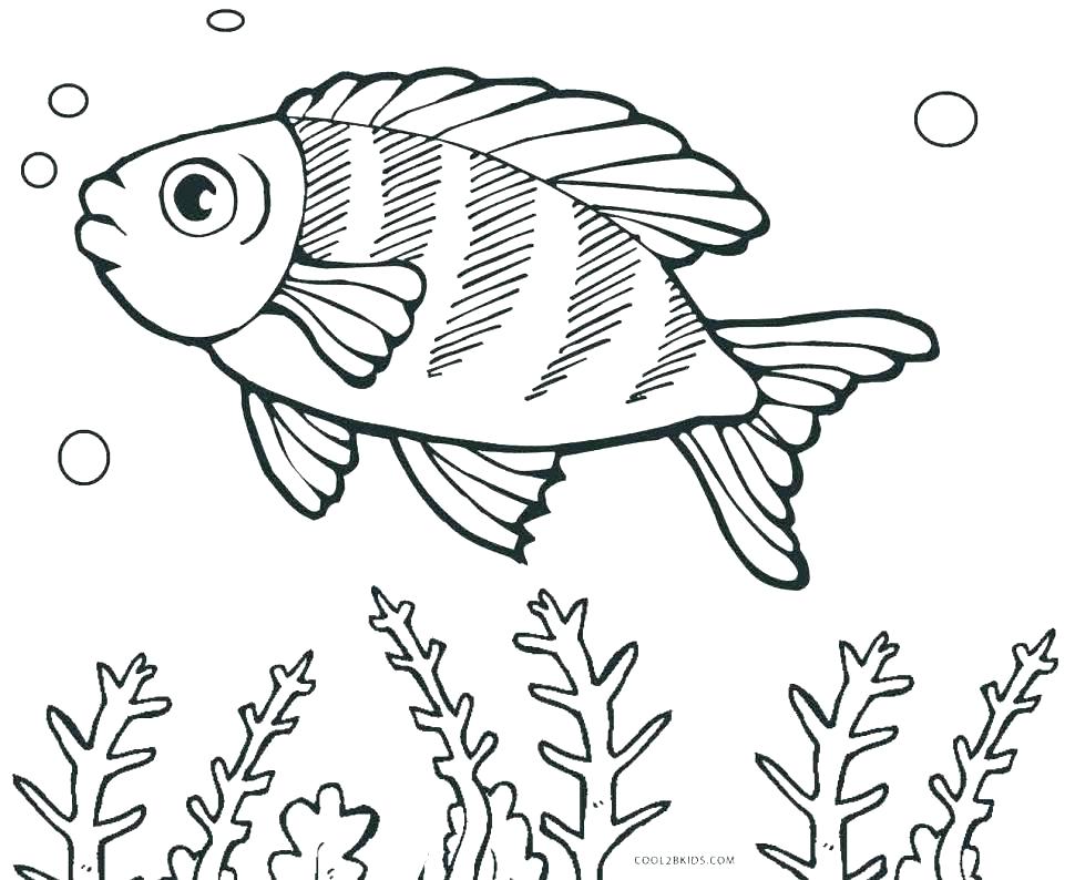 970x794 Fish Coloring Pages Adults Printable Fish Coloring Pages