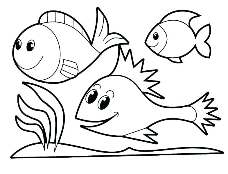 785x598 Real Fish Coloring Pages Print Fish Coloring Pages Print Bug