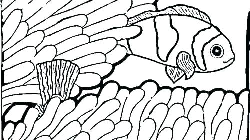 500x280 Images Of Free Printable Goldfish Coloring Page Pages And Various