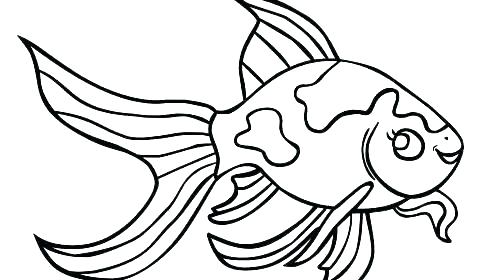 500x280 Coloring Pages Fish Coloring Fish Pictures Fish Coloring Picture
