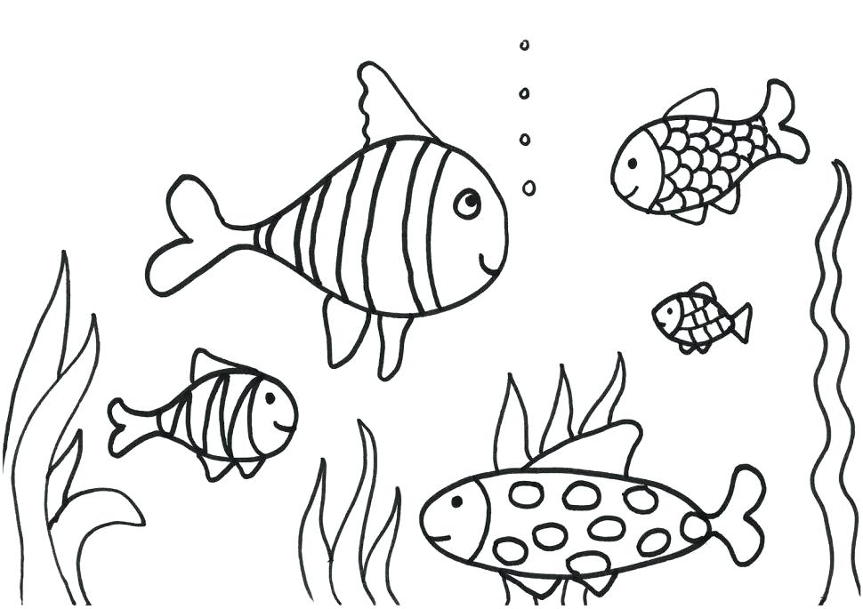 970x685 Fish Coloring Pages Printable Fish Coloring Pages For Preschoolers
