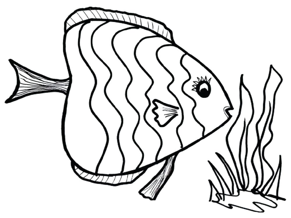 1000x750 Puffer Fish Coloring Page Puffer Fish Coloring Page Fish Coloring