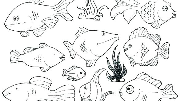 585x329 Fish Coloring Page Fish Coloring Book Together With Free Printable