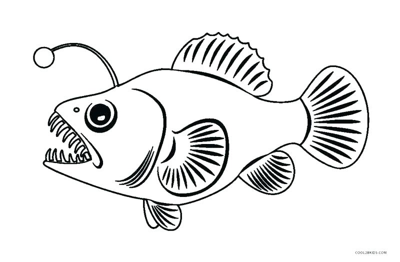800x524 Fish Color Page Color Pages Of Fish Angler Fish Coloring Page
