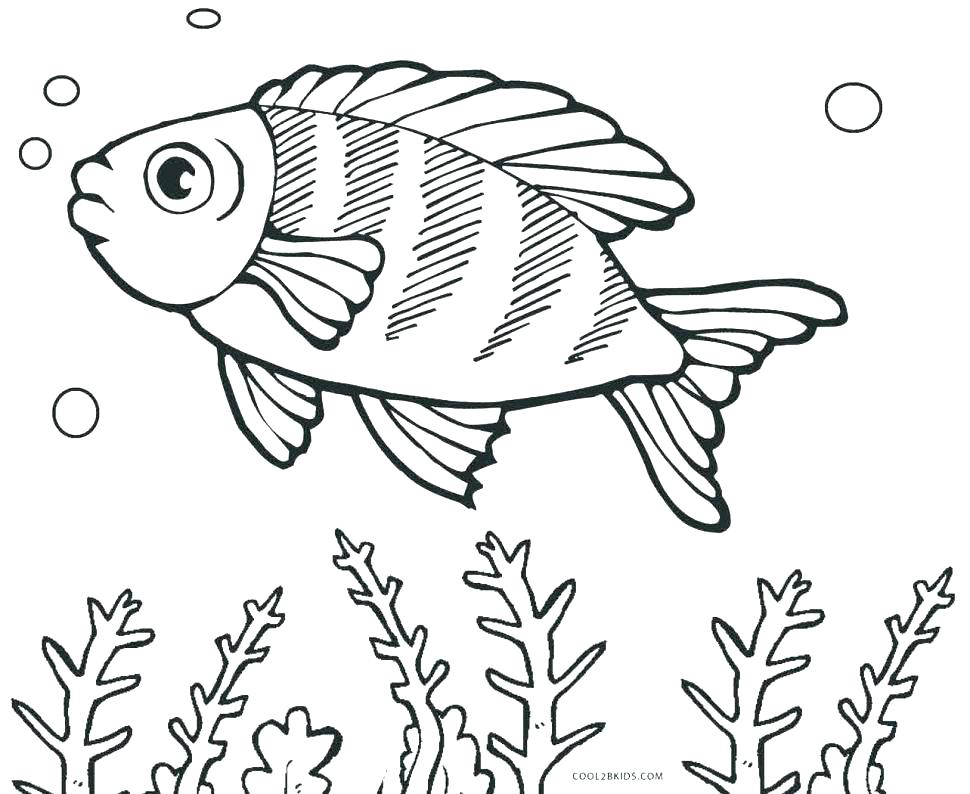 970x794 Printable Fish Coloring Pages