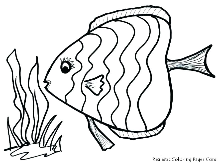 878x659 Cartoon Fish Coloring Pages Tropical Fish Coloring Pages Tropical
