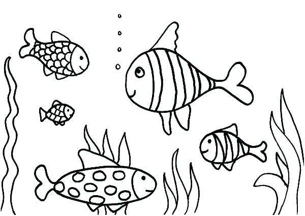 600x425 Coloring Pages Fish Free Coloring Pages Fish Tank