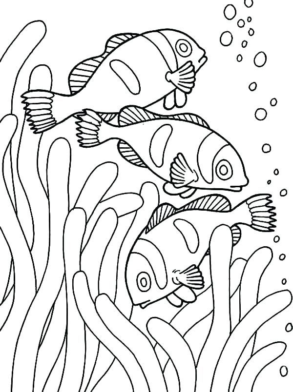 600x804 Printable Fish Bowl Coloring Pages Free Color Fishing Delightful