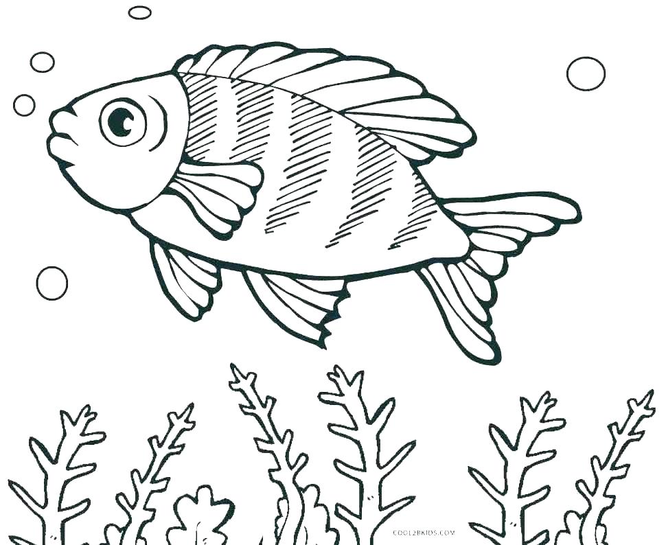 970x794 Fishing Coloring Pages Free Coloring Pages Fish Fish Coloring