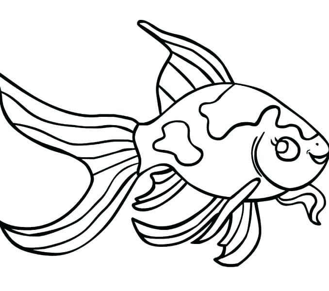 678x600 Fishing Pole Coloring Page Coloring Page Of Fish Goldfish Coloring
