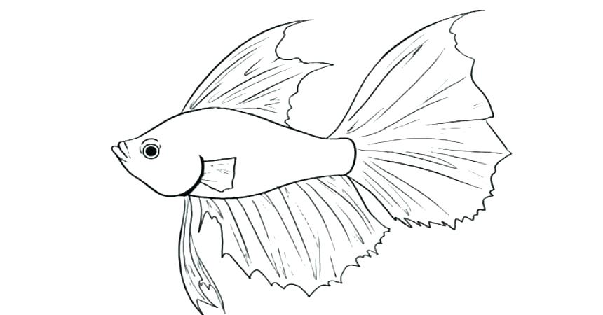 860x450 Fishing Pole Coloring Page Coloring Pages Fish As Fish Coloring