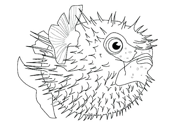 600x450 Fishing Rod Coloring Pages Animal Coloring Pages Sea Animals Fish