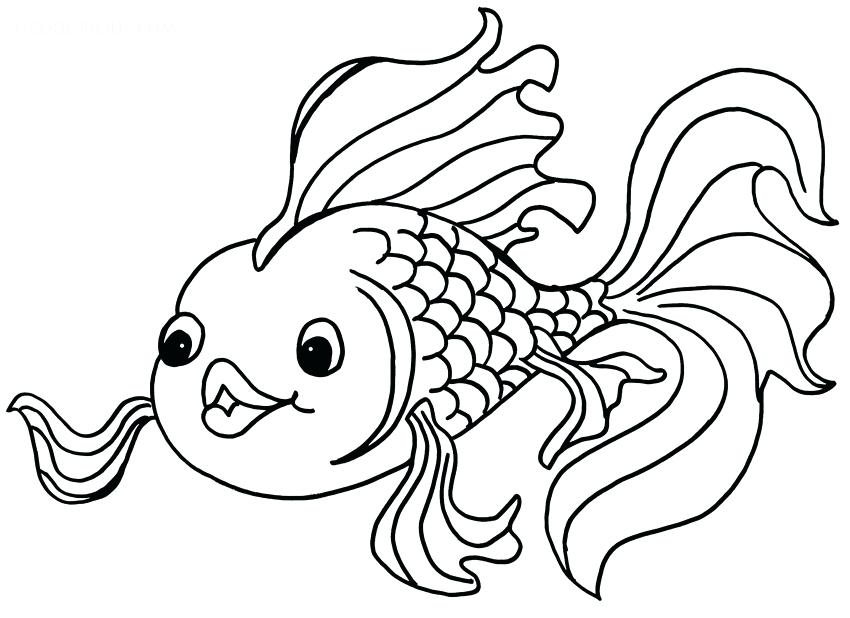 850x618 Coloring Pages Fish