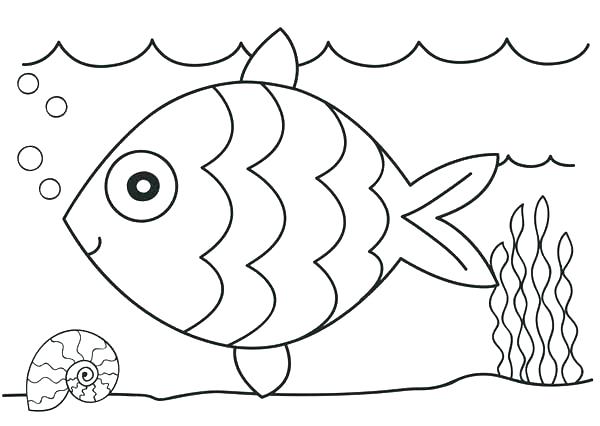 600x426 Rainbow Fish Coloring Pages