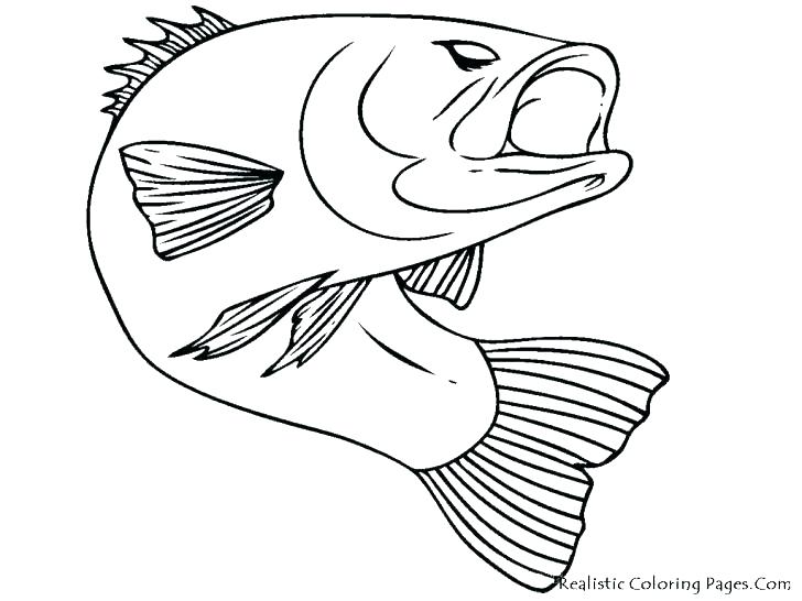 728x546 Coloring Pages Of Fish Fishing Pole Coloring Page Coloring Pages