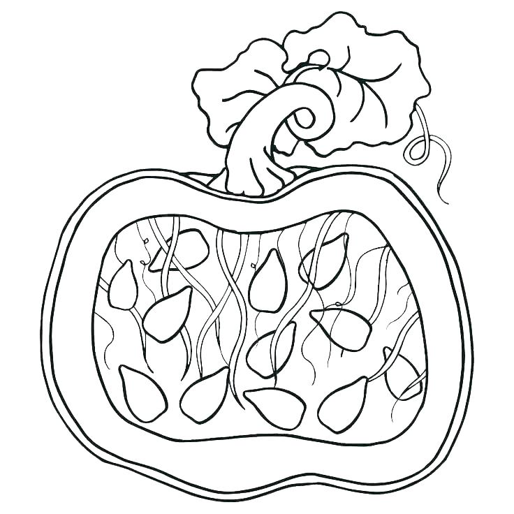 736x736 Little Pumpkins Coloring Pages