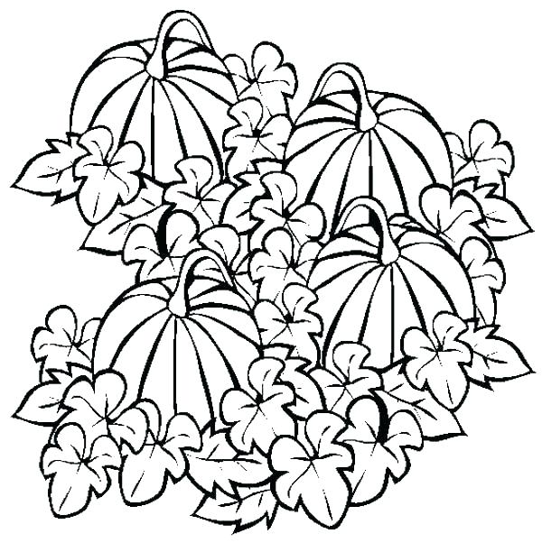 600x612 Five Little Pumpkins Colouring Page Free Printable Pumpkin