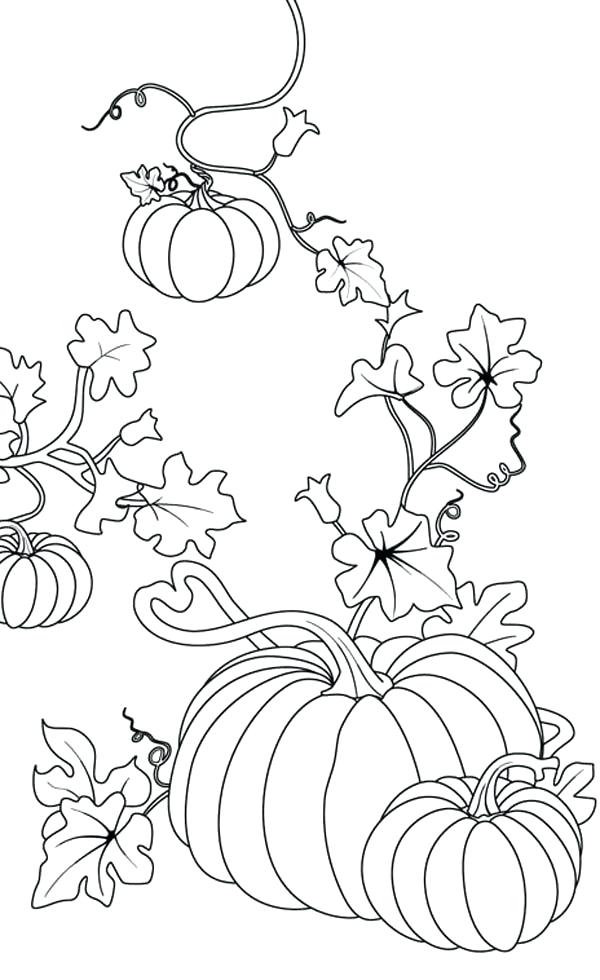 600x980 Pumpkins Coloring Page Scary Pumpkin Coloring Pages Haunted