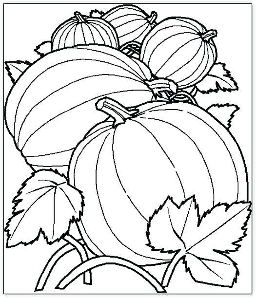 525x612 Pumpkins Coloring Pages Pumpkin Coloring Pages For Kids Printable
