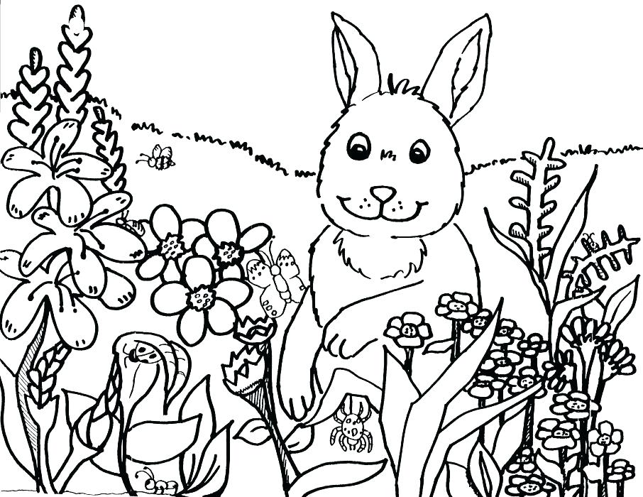 906x700 New Mexico Coloring Pages Ng Pages Rabbit The Flowers Sheet