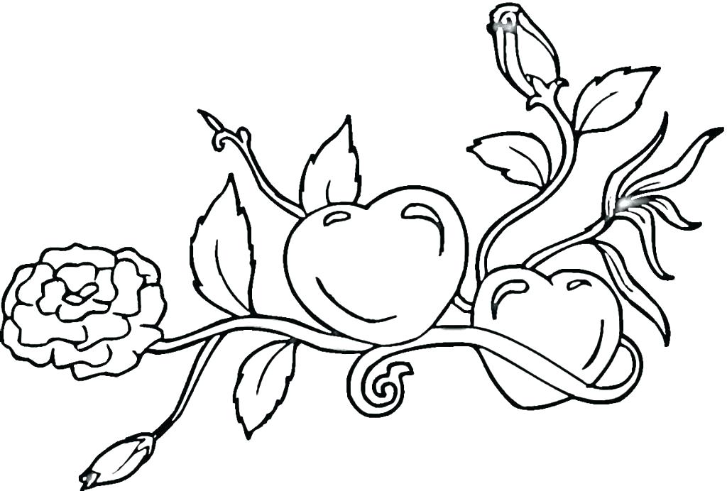 1024x692 Flames Coloring Pages