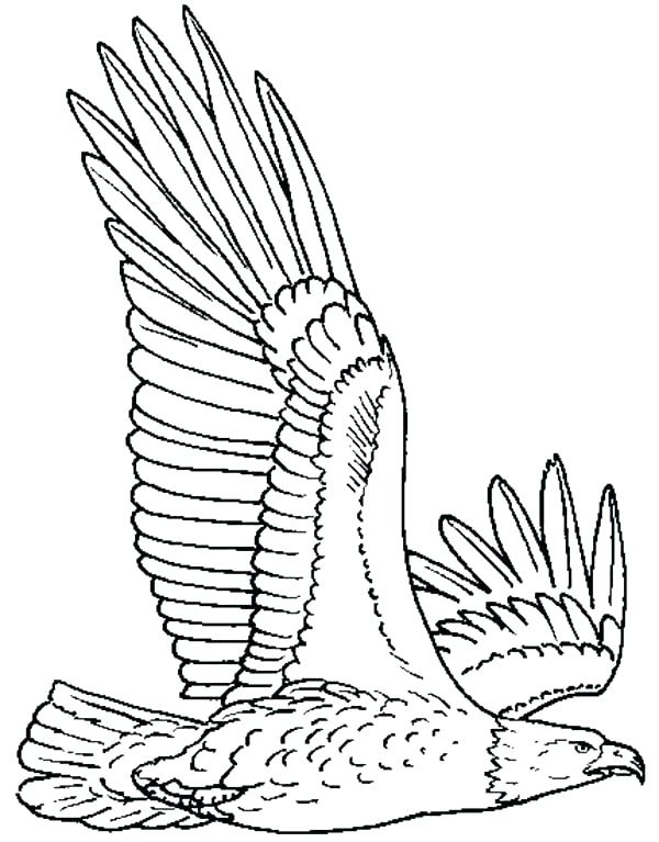 600x767 Eagle Coloring Page Fresh Bald Eagle Coloring Pages Online Color
