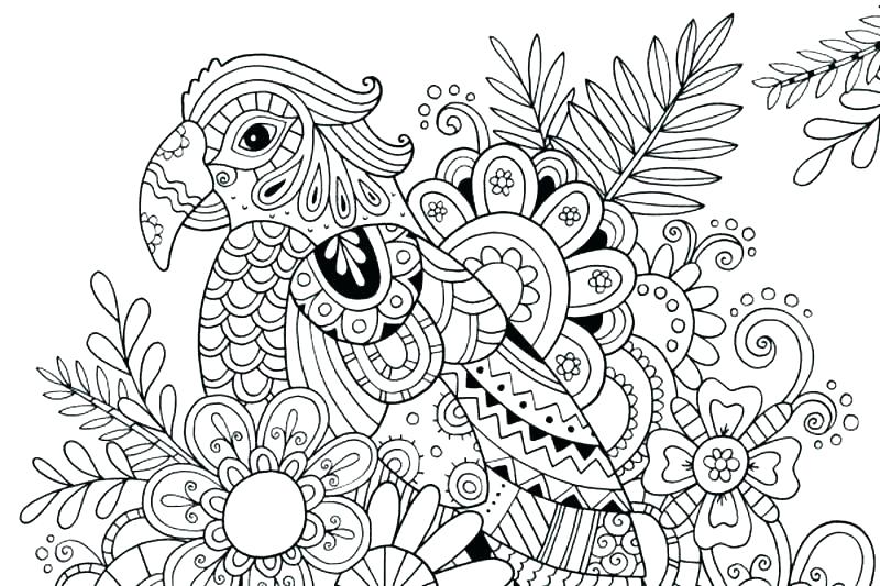 800x533 Flip Flop Coloring Page Flip Flop Coloring Page Coloring Pages