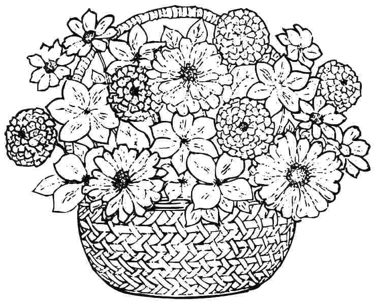742x600 Printable Flower Coloring Pages For Adults Free Printable Coloring