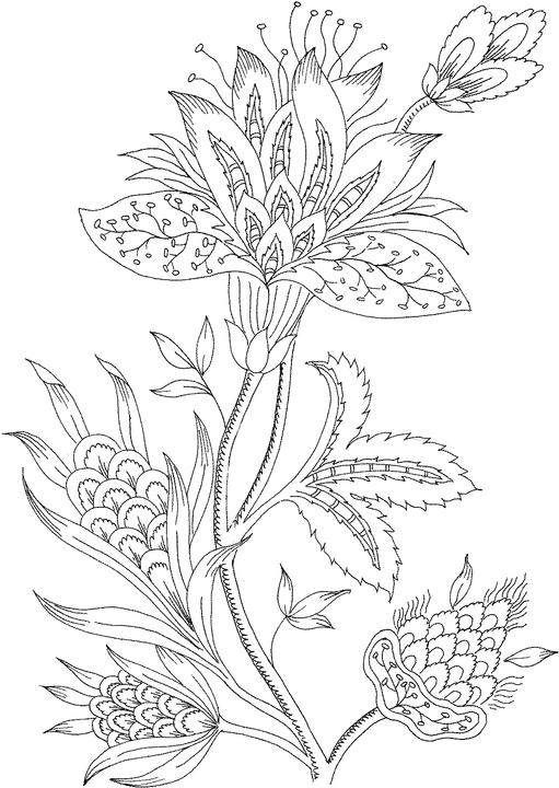511x720 Coloring Pages Of A Flower, Flowers Print Colouring Pages