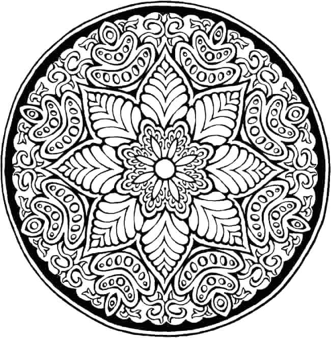 650x662 Flower Mandalas Coloring Book