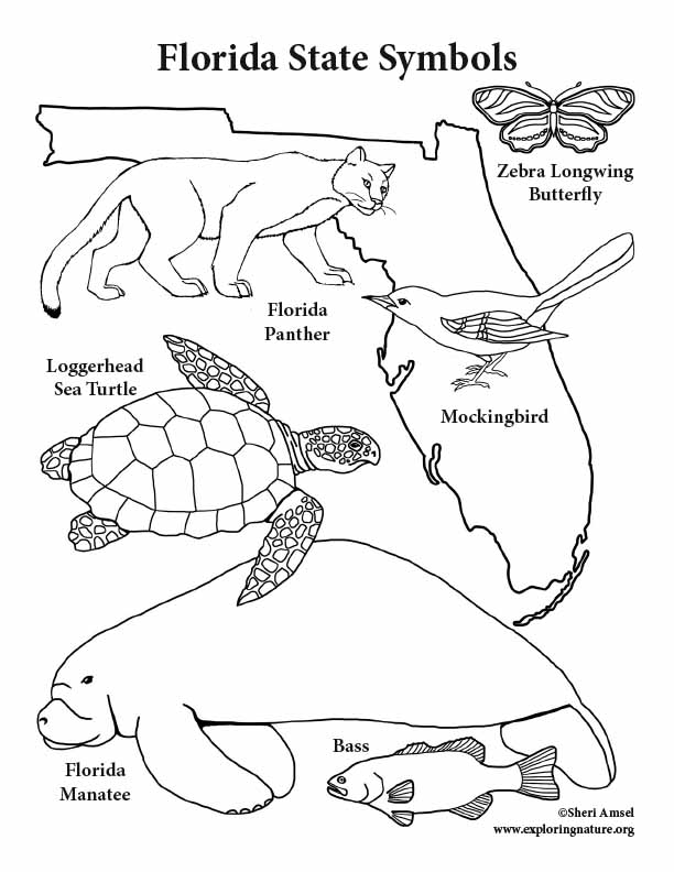 612x792 Florida State Symbols Coloring Page