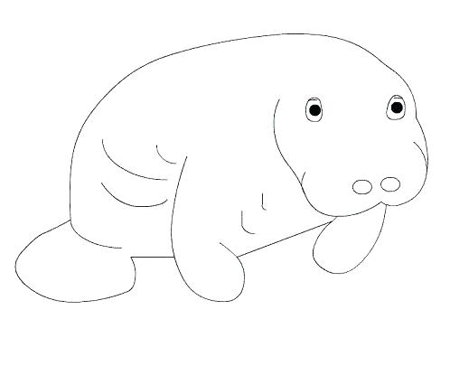 498x426 Manatee Coloring Page Coloring Pages To Print Florida Manatee