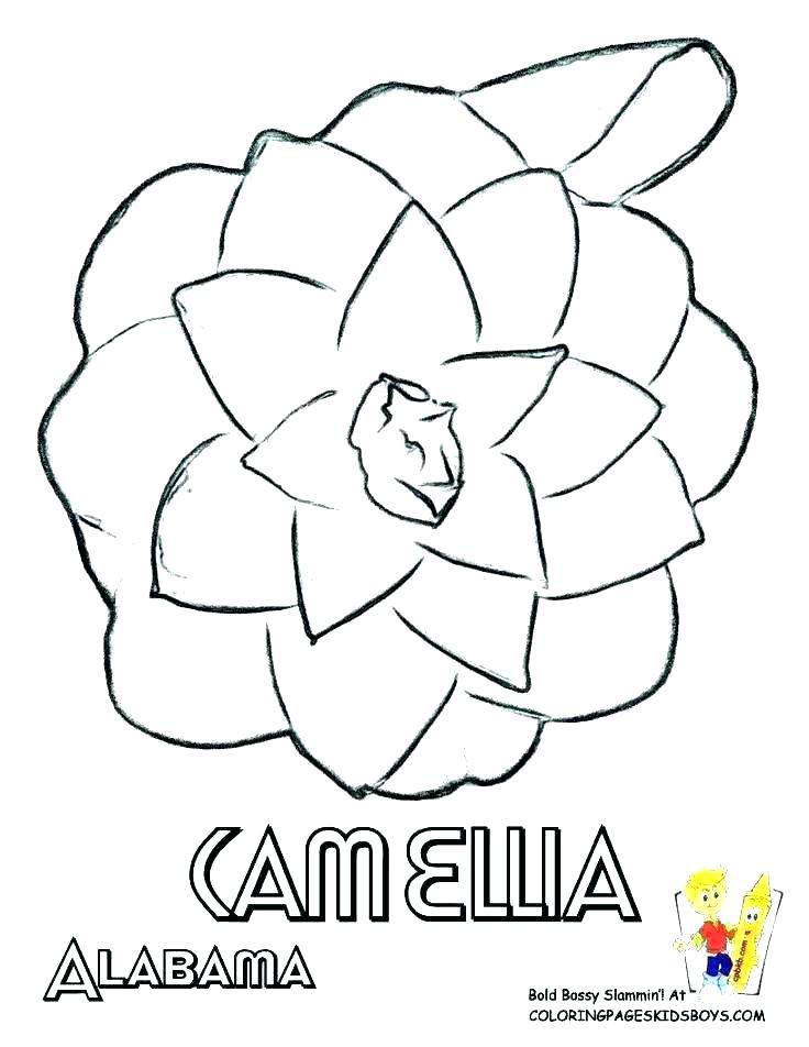 736x952 Florida Coloring Sheet